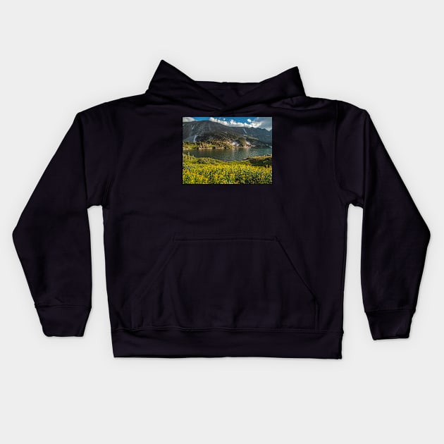 Lake Isabelle Kids Hoodie by algill